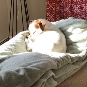 Meet your Posher, Kelley